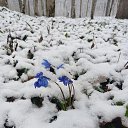 ���� �������, ����, 48 ��� - ��������� 27 ����� 2022