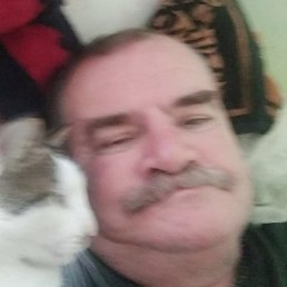 �����.����., �����������, 38 ���