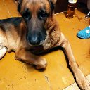 ���� ������� 23, ������, 58 ��� - ��������� 1 ������ 2023