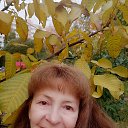 ���� ������, �����-��������� - ��������� 8 ������� 2022 � ������ ���� ����������