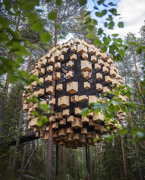  , - Treehotel.      ,    ... - 2