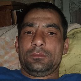 ����, �����������, 40 ���