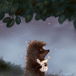 �����, ���, 54 ����