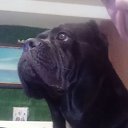 ���� ������, �����������, 51 ��� - ��������� 8 ������ 2023