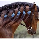 ���� ������, ������, 45 ��� - ��������� 2 ������ 2022 � ������ ���� ����������