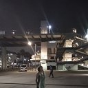 ������ ����� �� ������� ���� ����������