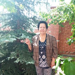 ���� �������, ������, 76 ��� - ��������� 24 ���� 2022