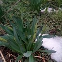 ���� ���� ��������, ������, 52 ���� - ��������� 4 ������ 2022 � ������ ���� ������
