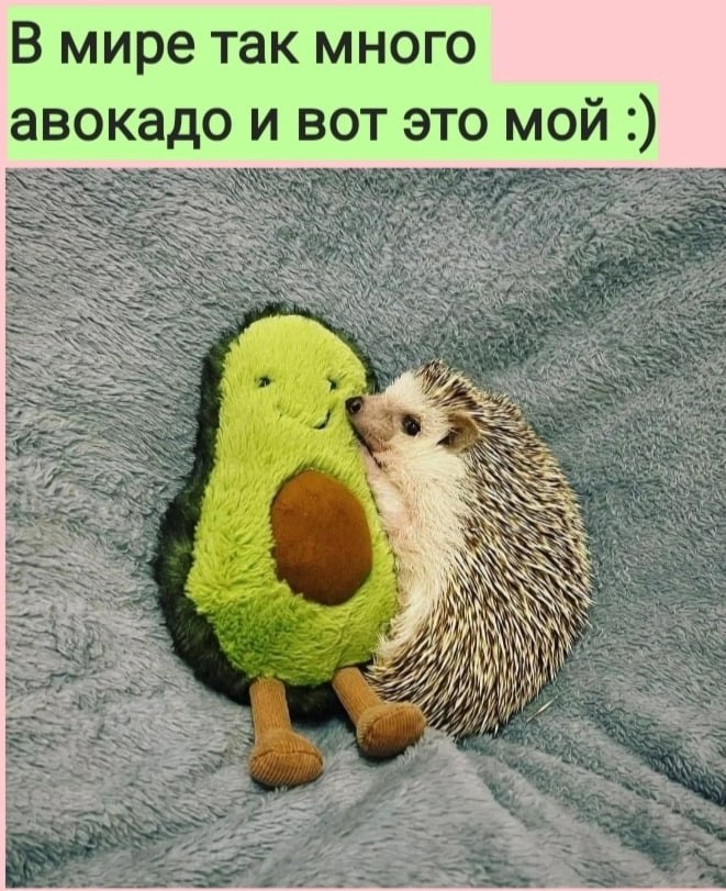   :D - 6  2022  08:10