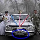 ���� �������, ����������, 50 ��� - ��������� 7 ���� 2022 � ������ ������ ��������