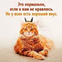 ���� ����, ������, 38 ��� - ��������� 28 ������� 2022 � ������ ���� ����������