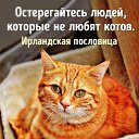 ���� ����, ���������, 54 ���� - ��������� 22 ������� 2022 � ������ ������ ��������