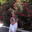 ���� ������, ��������� - ��������� 3 ������ 2023 � ������ ���� ����������