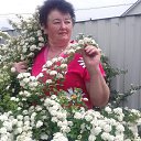 ���� ����, ���������, 66 ��� - ��������� 14 ������ 2023