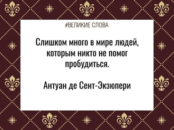   | ,    - 3  2022  08:01