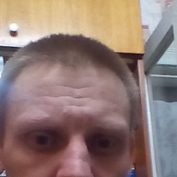 ���������, �����-���������, 41 ���