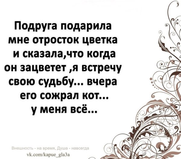   -  ,  -  - 10  2022  18:38