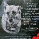 ����� � ����� �� ������� ������ ��������