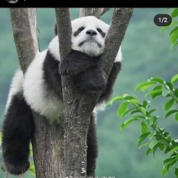 ���� ������, �����������, 37 ��� - ��������� 7 ������ 2022