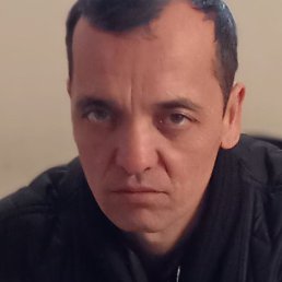 , , 43 
