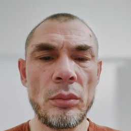 ���, ������, 49 ���