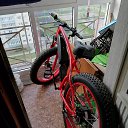 ���� ������, �����, 54 ���� - ��������� 25 ������� 2022 � ������ ���� ����������