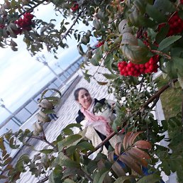 �����, ���������, 43 ����