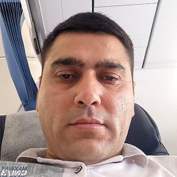 �����, ������, 36 ���