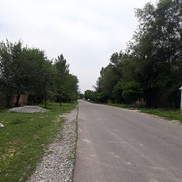 , , 26 