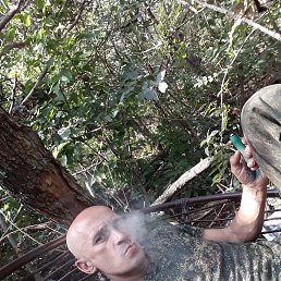 ���� �������, ����-�����������, 50 ��� - ��������� 15 ������ 2022