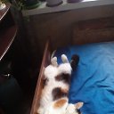 ���� ������, ��������, 68 ��� - ��������� 27 ���� 2022 � ������ ������ ��������