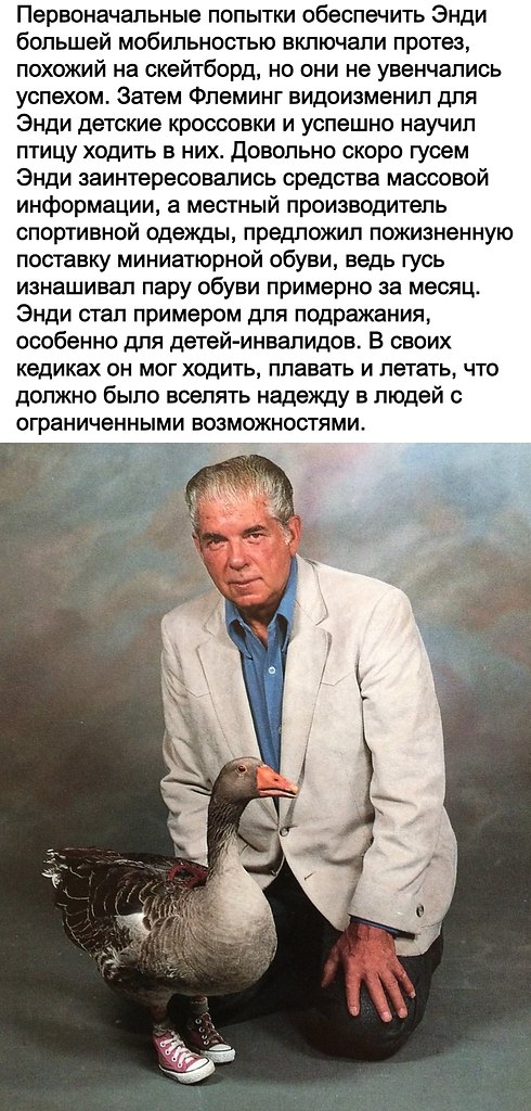 o   ,     a   ... - 2