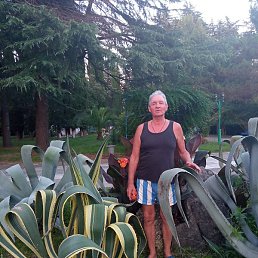 �����, ������, 71 ���