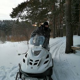 ���� ������, ������, 48 ��� - ��������� 12 ������ 2023