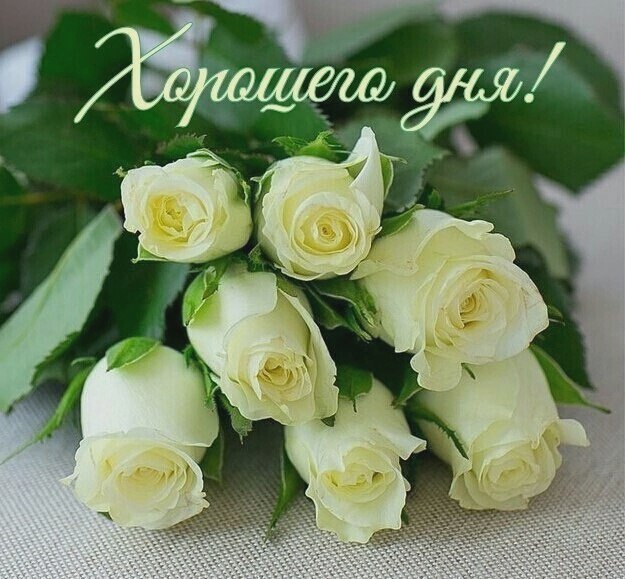  ,    . - 15  2022  13:04