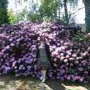 ���� ����, �������, 69 ��� - ��������� 7 ������� 2022