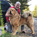 ���� ����, �����-��������� - ��������� 21 ������ 2022 � ������ ������ ��������