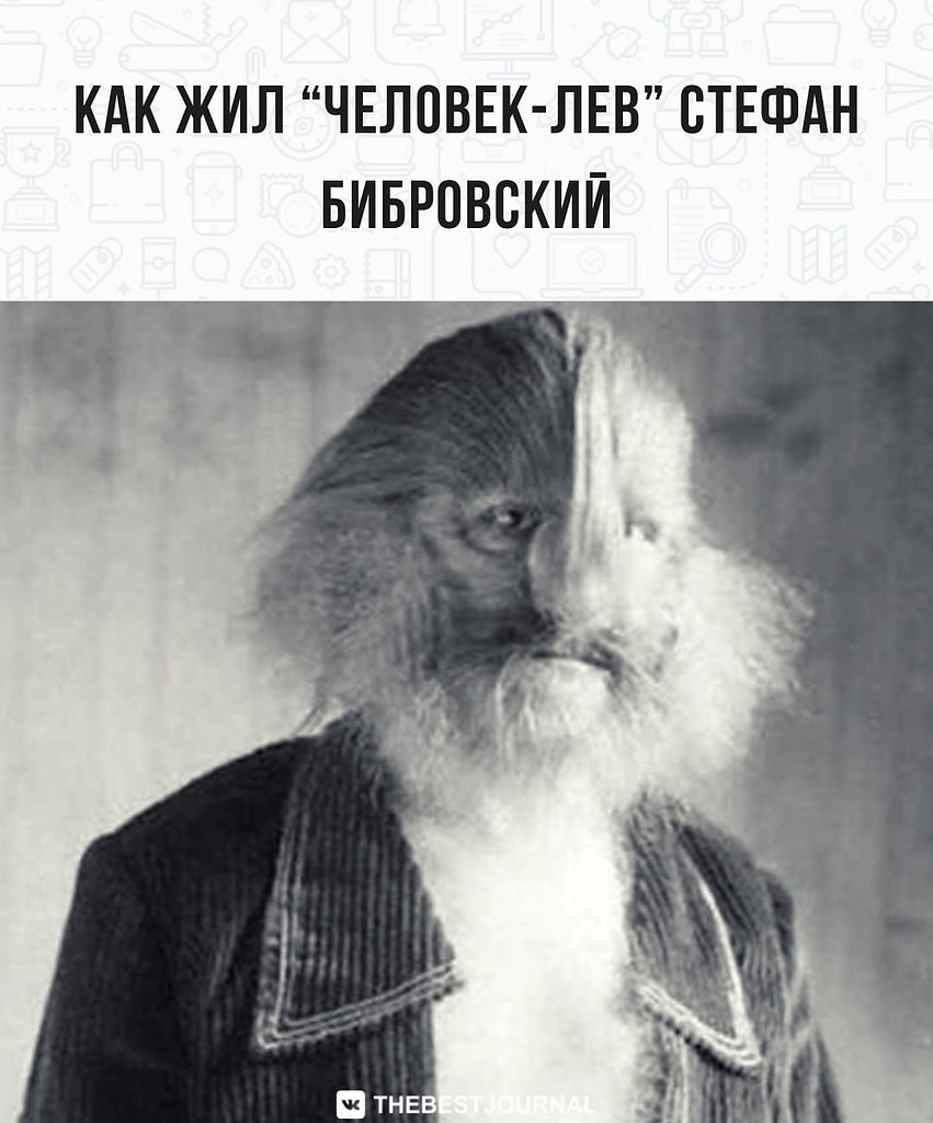 BEST | , ,  - 21  2022  23:56
