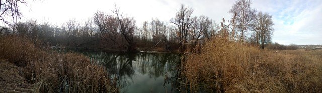 ���� �����, ������, 65 ��� - ��������� 25 ������ 2022