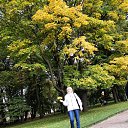 ���� ���������, �����, 59 ��� - ��������� 6 ������� 2022 � ������ ���� ����������