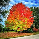 ���� �����, ���������� - ��������� 19 �������� 2022 � ������ ���� ����������