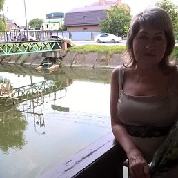 ���� ��������, ���������, 64 ���� - ��������� 15 ������� 2022