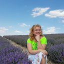 ���� ��������, �����-���������, 55 ��� - ��������� 6 ������� 2023 � ������ ���� ����������