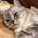 ���� ������, �����-���������, 70 ��� - ��������� 27 ������ 2023