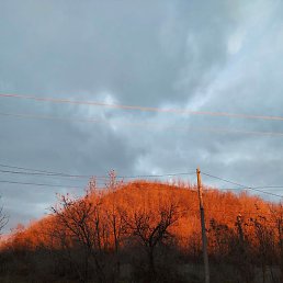 ����, ���������, 55 ���