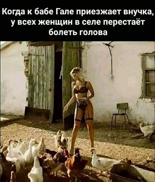   - 17  2022  17:42