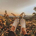 ���� �zju�, ����, 51 ��� - ��������� 28 ������� 2022 � ������ ���� ����������