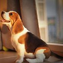 ���� ����, ���������, 37 ��� - ��������� 25 ������ 2022 � ������ ���� ����������