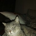 ���� ����, ������� �����, 54 ���� - ��������� 13 ������ 2022 � ������ ���� ����������