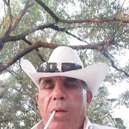 ����, �����-���������, 58 ���